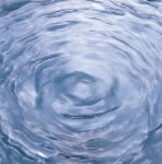 �{�d����